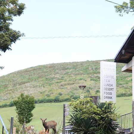 Mountain Home Lodge In Deer Park Nara Eksteriør billede