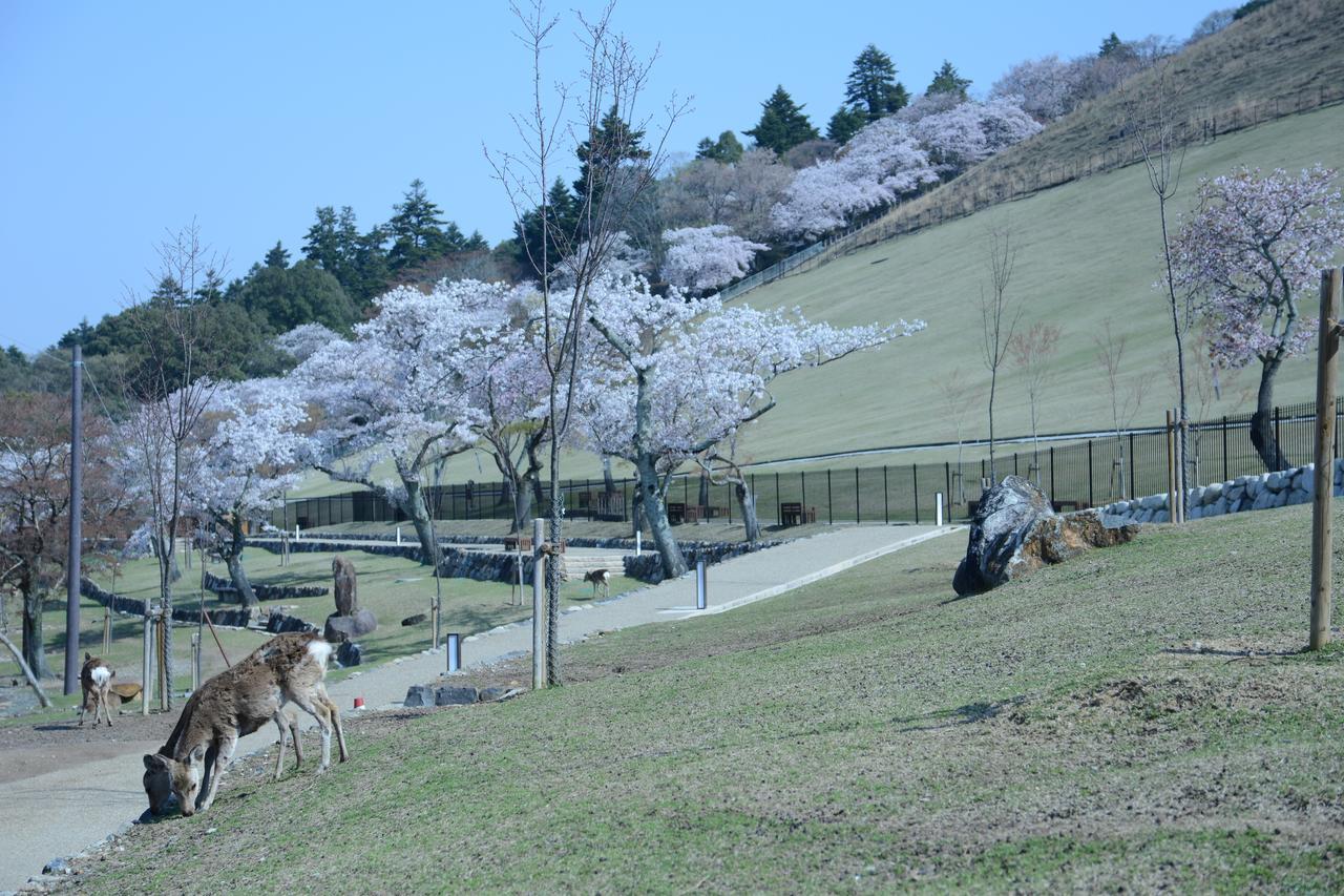 Mountain Home Lodge In Deer Park Nara Eksteriør billede